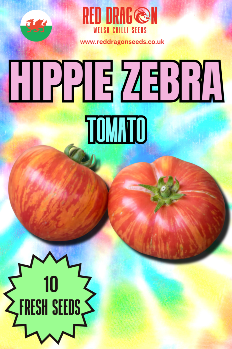 Hippie Zebra Tomato Tomato Seeds