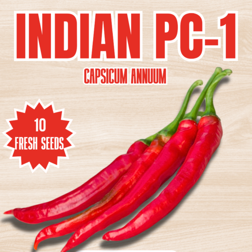 Indian PC-1 Chilli Seeds