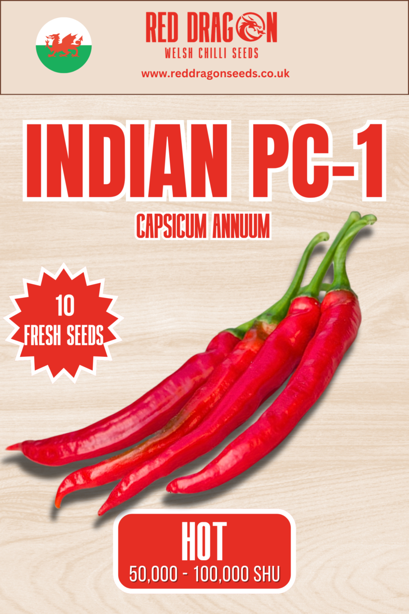 Indian PC-1 Chilli Seeds