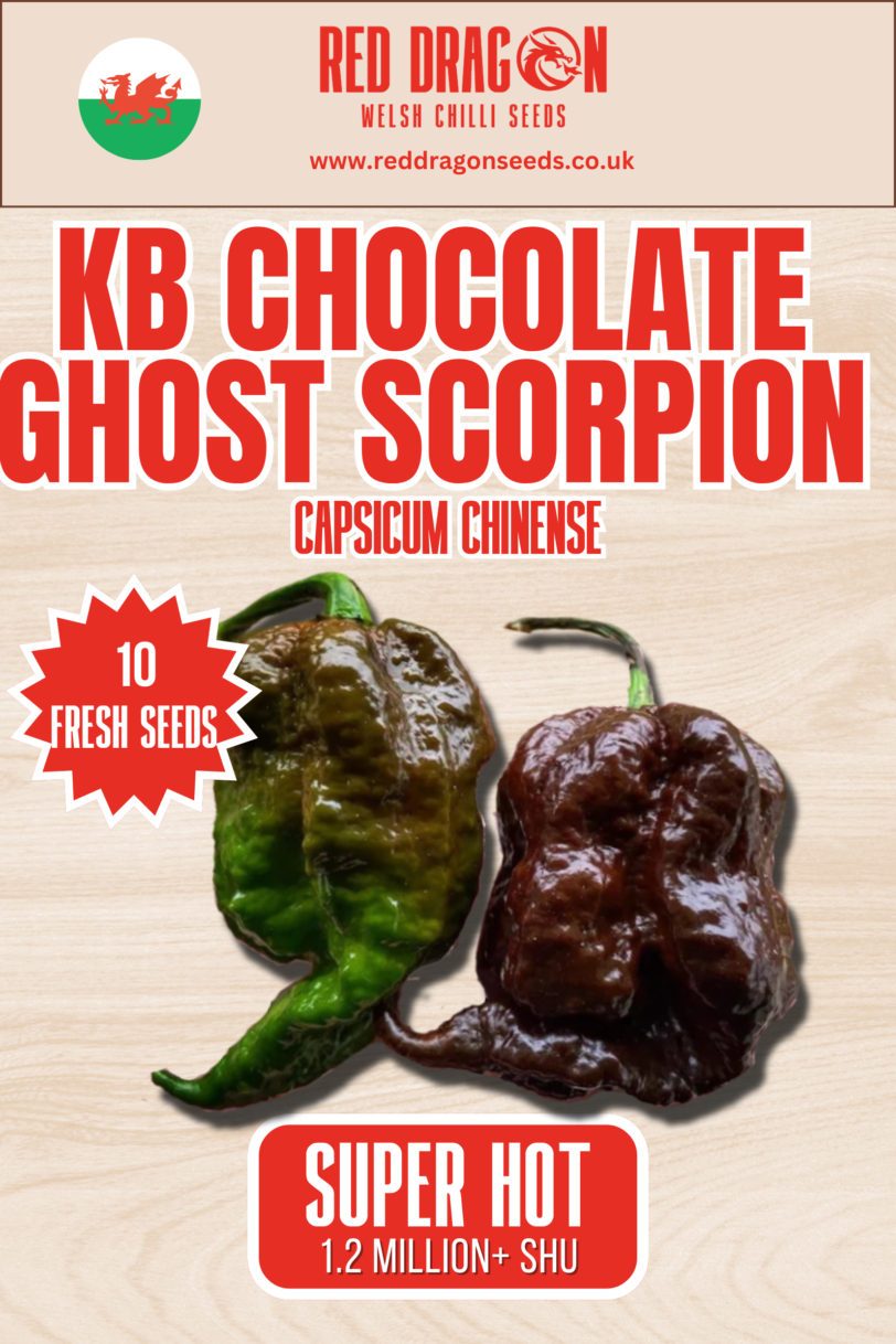 KB Chocolate Ghost Scorpion Chilli Seeds