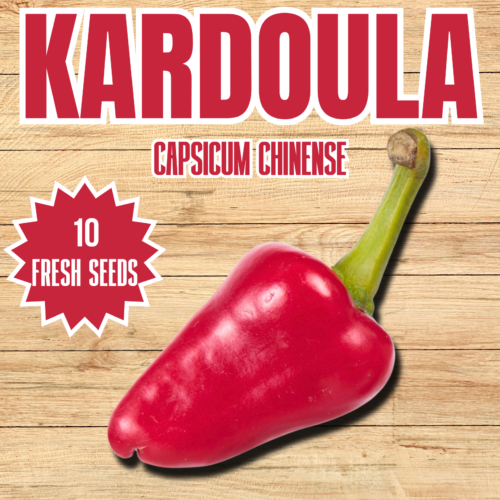 Kardoula Chilli Seeds