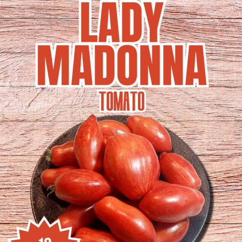 Lady Madonna Tomato Seeds