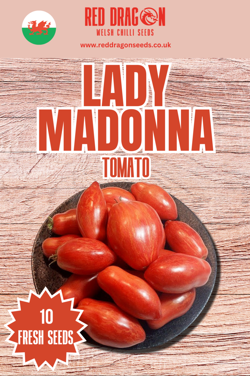 Lady Madonna Tomato Seeds