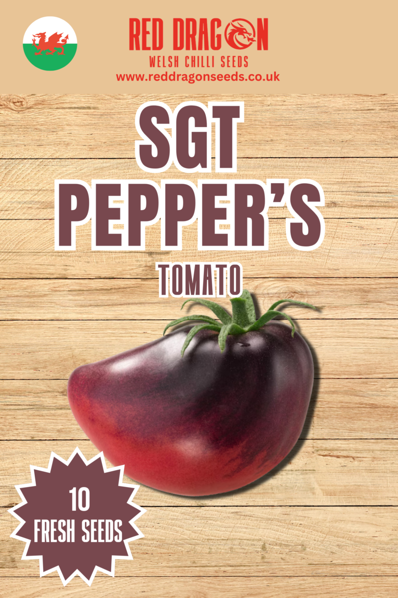 SGT Pepper's Tomato Seeds