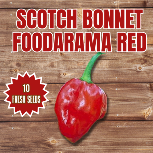 Scotch Bonnet Foodarama Red Chilli Seeds