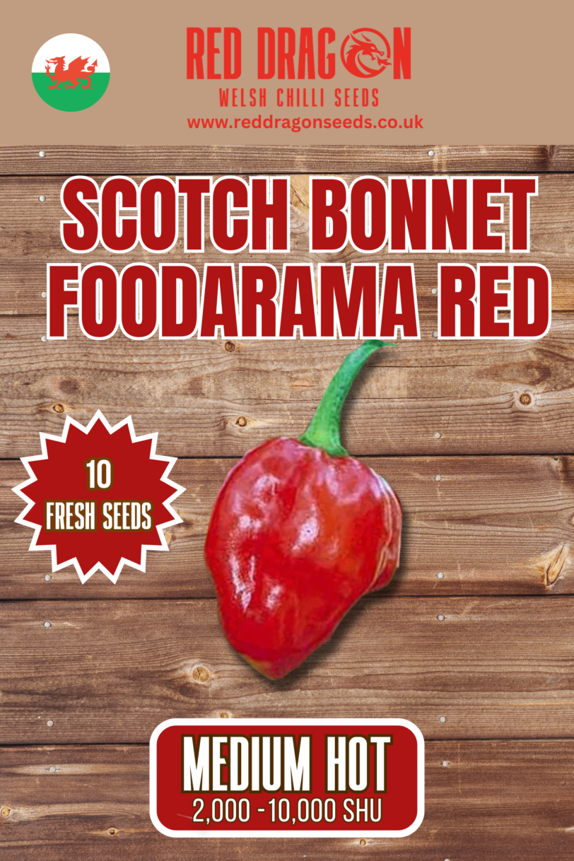 Scotch Bonnet Foodarama Red Chilli Seeds