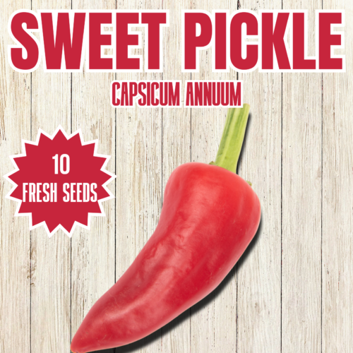 Sweet Pickle Chilli Seeds