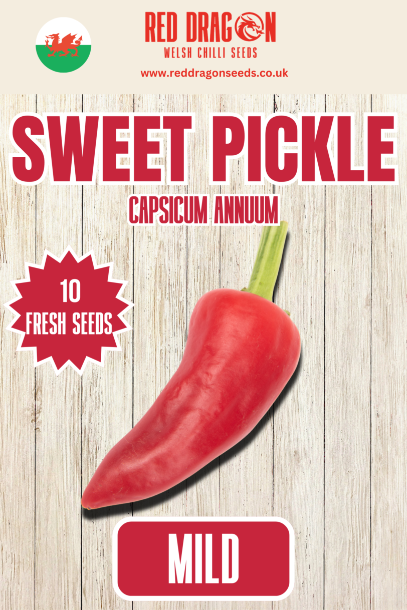 Sweet Pickle Chilli Seeds