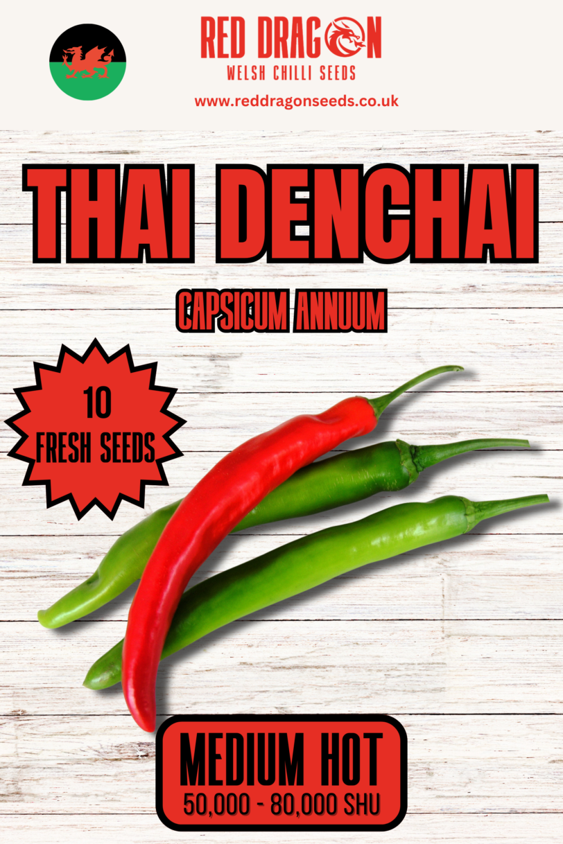 Thai Denchai Chilli Seeds