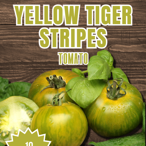 Yellow Tiger Stripes Tomato Seeds