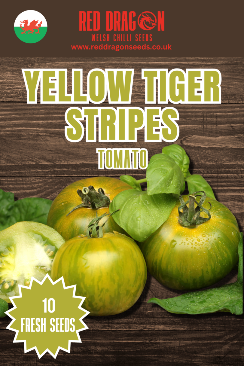 Yellow Tiger Stripes Tomato Seeds