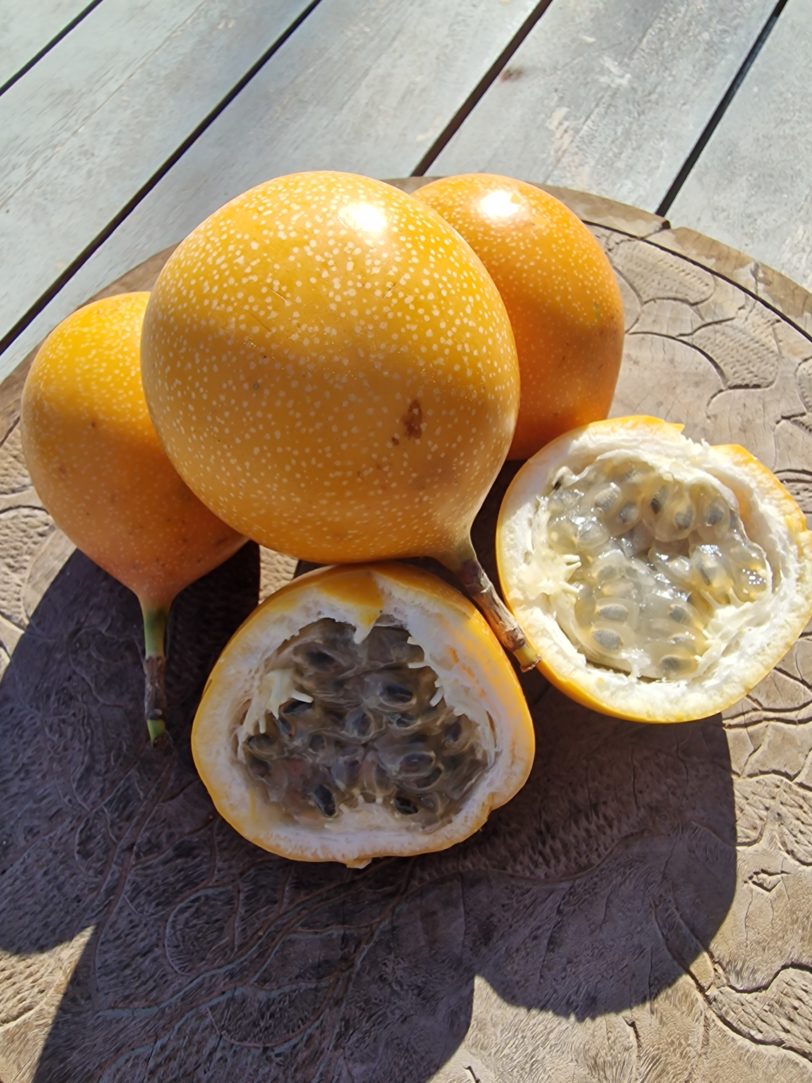 Sweet Granadilla Seeds