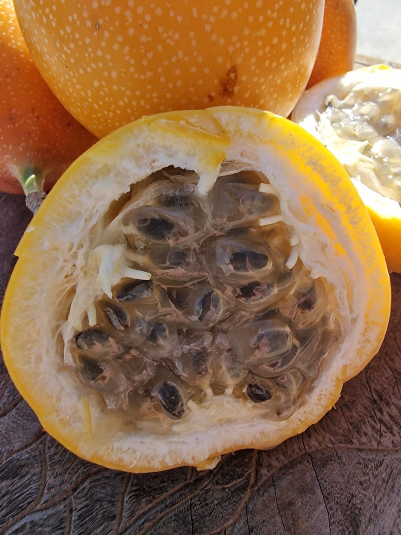 Sweet Granadilla Seeds