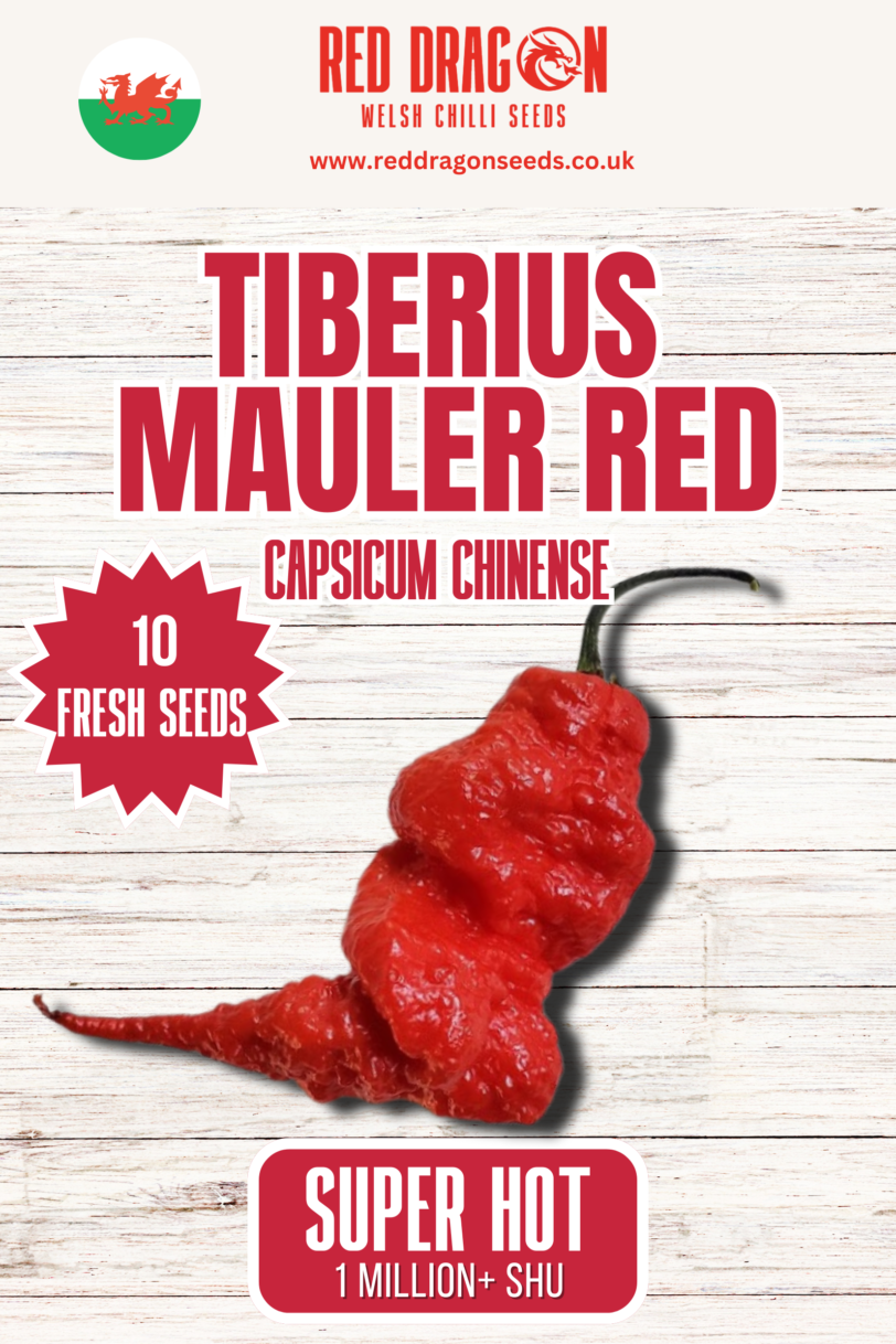 Tiberius Mauler Red Chilli Seeds