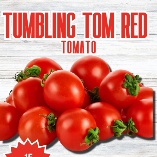 Tumbling Tom Red Tomato Seeds