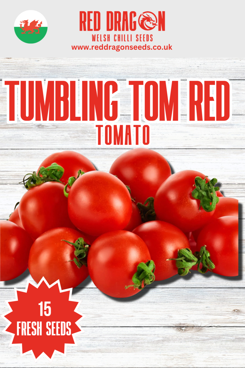 Tumbling Tom Red Tomato Seeds