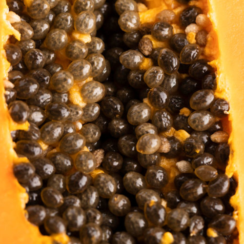 Papaya Seeds