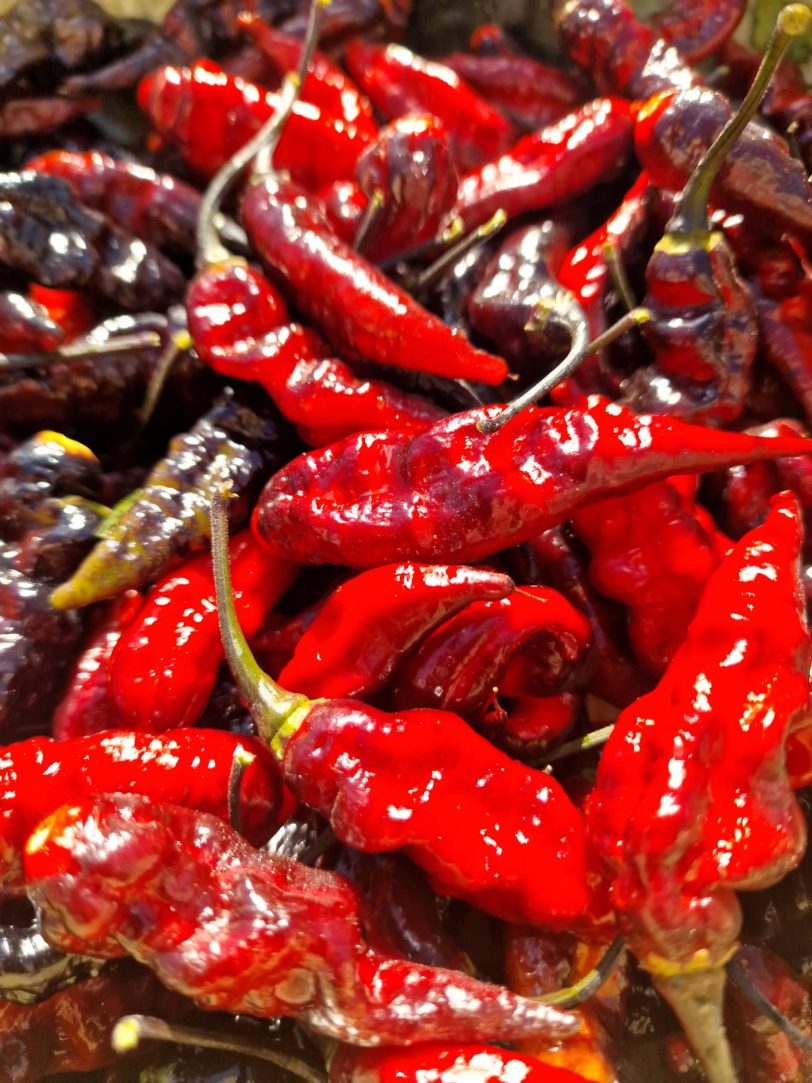 Black Bhut x Naga Python Chilli Seeds - Image 4