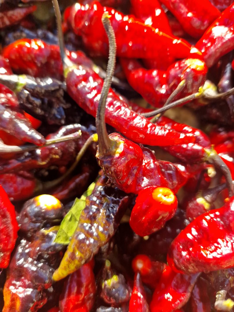 Black Bhut x Naga Python Chilli Seeds - Image 3