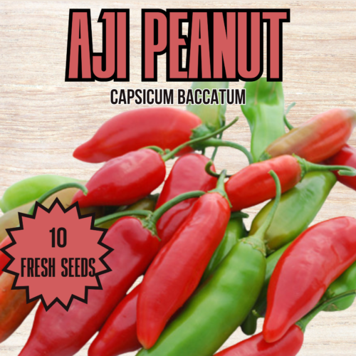 Aji Peanut Chilli Seeds