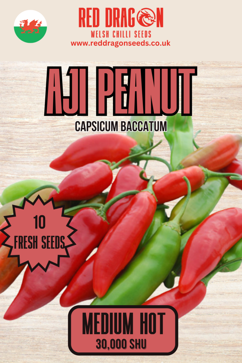 Aji Peanut Chilli Seeds