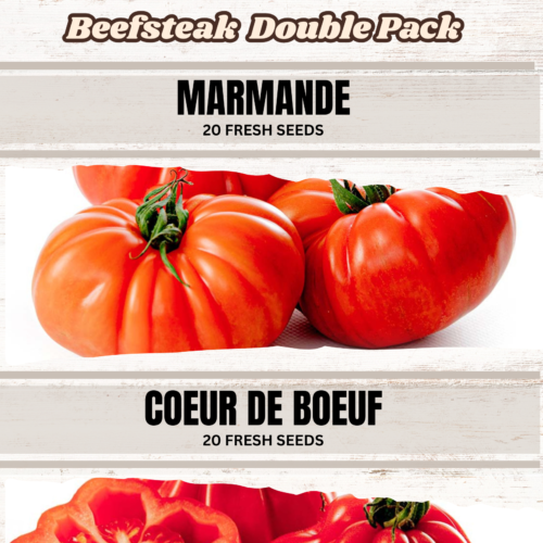 Beefsteak Double Pack tomato seeds