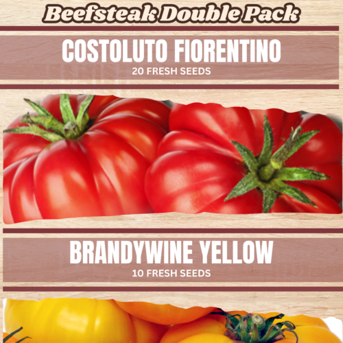 Beefsteak Double Pack 2 Tomato Seeds