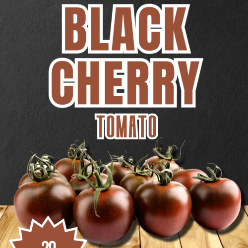 Black Cherry Tomato Seeds