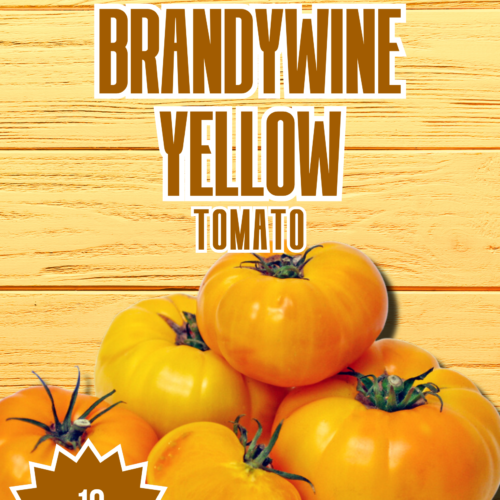 Brandywine Yellow Tomato Seeds