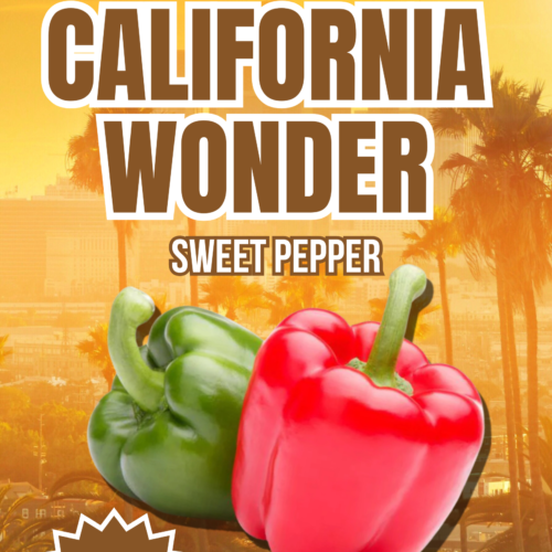 California Wonder Tomato Seeds