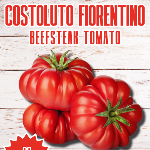 Costoluto Fiorentino Tomato Seeds