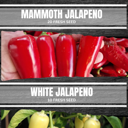 Jalapeno Double Pack