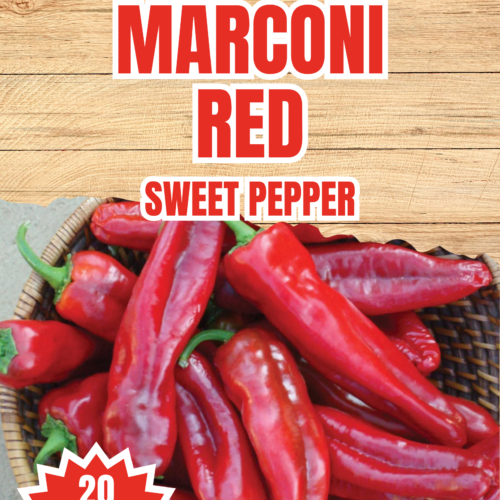 Marconi Red Sweet Pepper Seeds