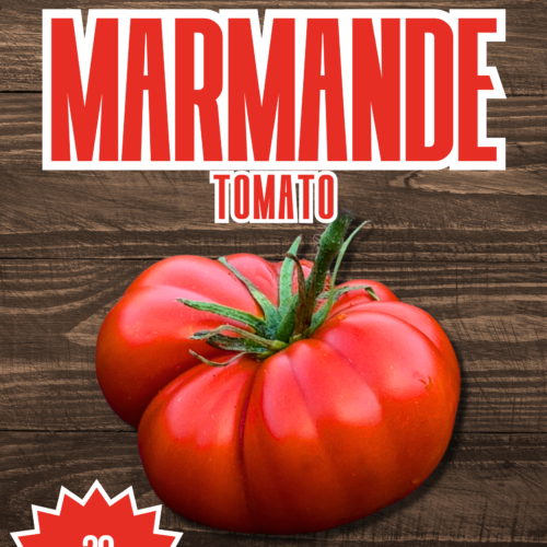 Marmande Tomato Seeds