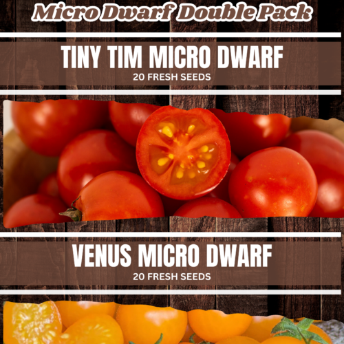 Micro Dwarf Tomato Seeds Double Pack