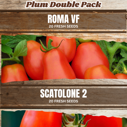 Plum Tomato Seeds Double Pack