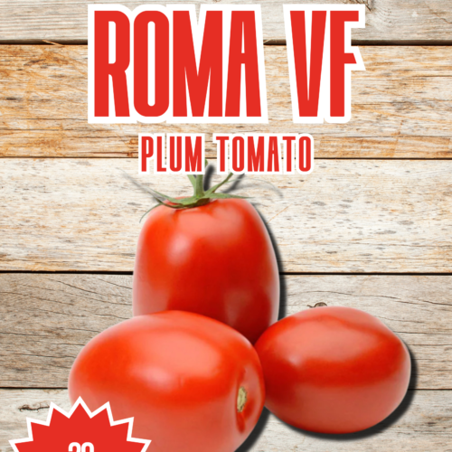 Roma VF Tomato Seeds