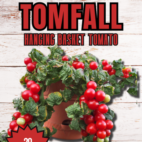 Tomfall Hanging Basket Tomato Seeds