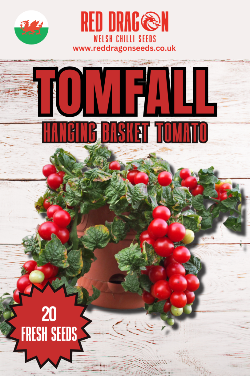 Tomfall Hanging Basket Tomato Seeds