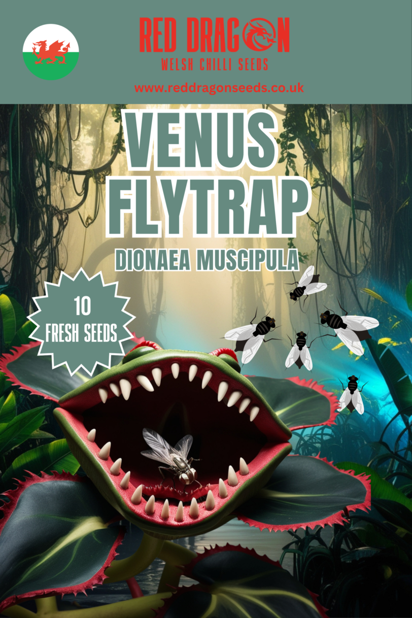 Venus Flytrap Seeds