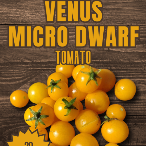 Venus Microdwarf Tomato Seeds