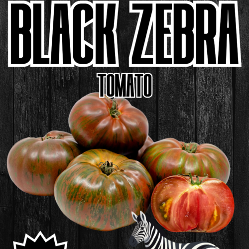 Black Zebra Tomato Seeds