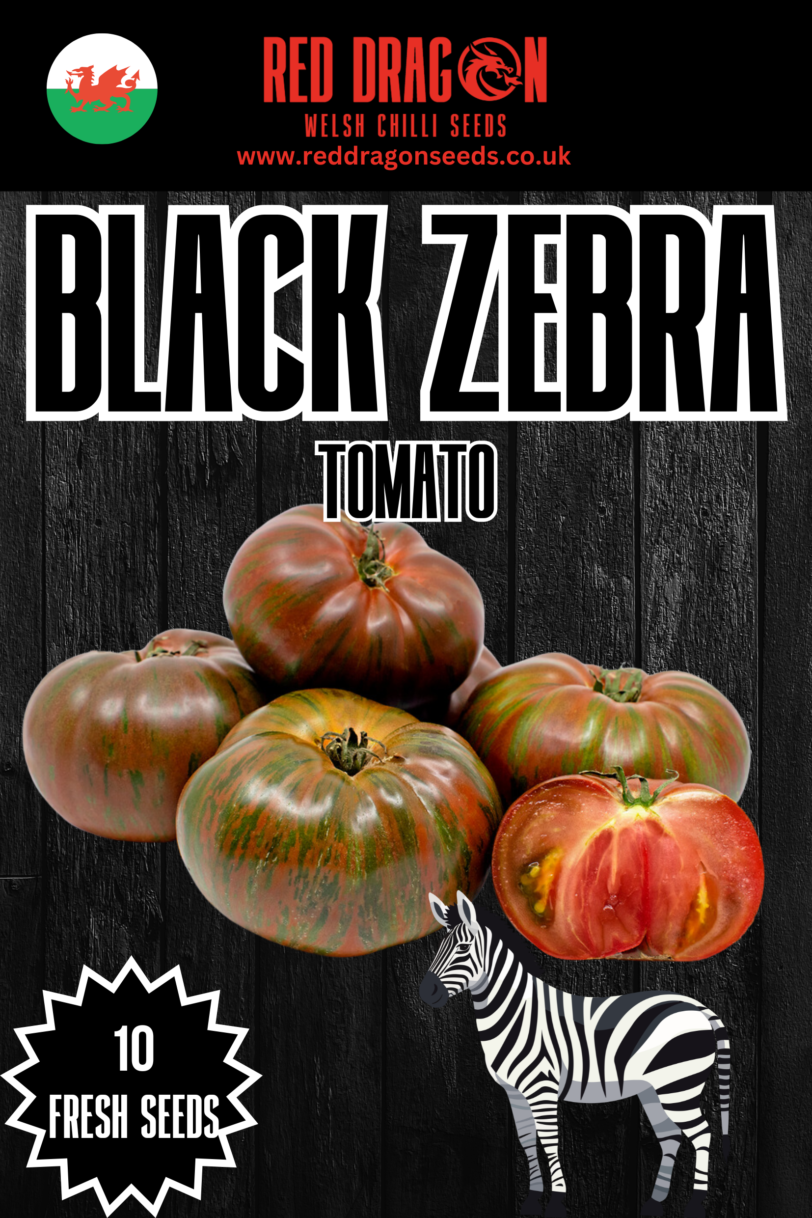 Black Zebra Tomato Seeds