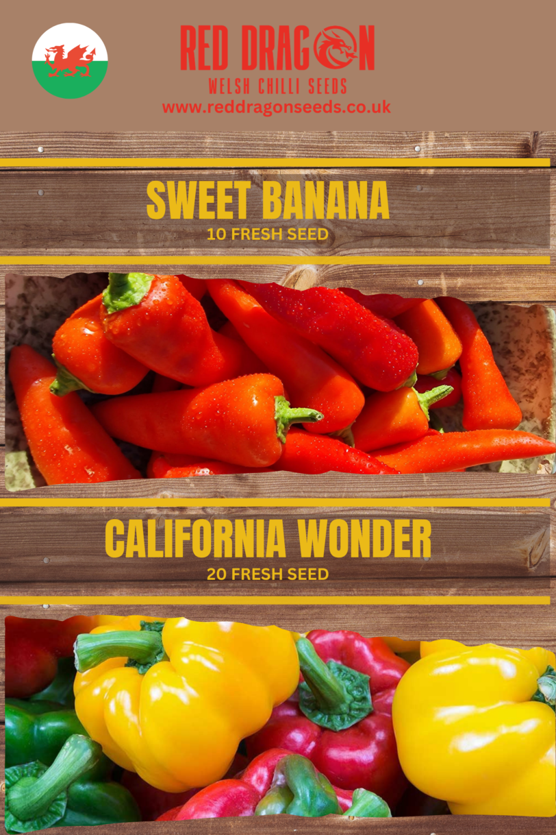 Sweet Pepper Seeds Double Pack