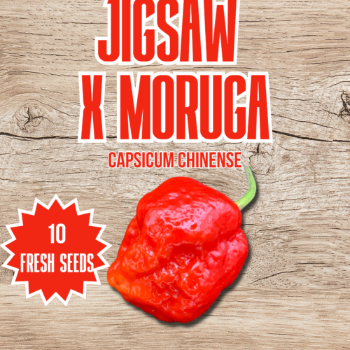 Jigsaw x Moruga Chilli Seeds