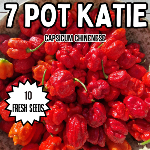 7 Pot Katie Chilli Seeds