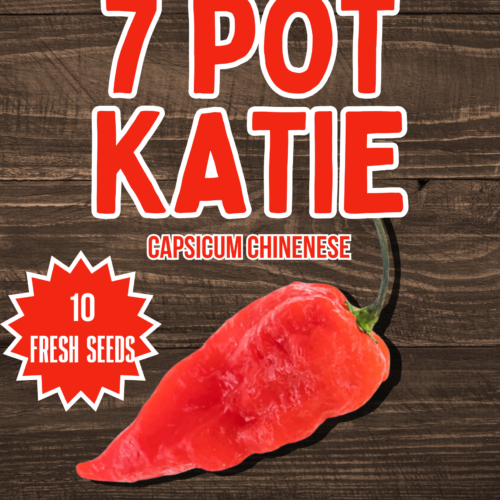 7 Pot Katie Chilli Seeds