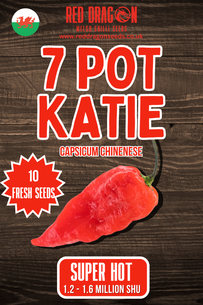 7 Pot Katie Chilli Seeds