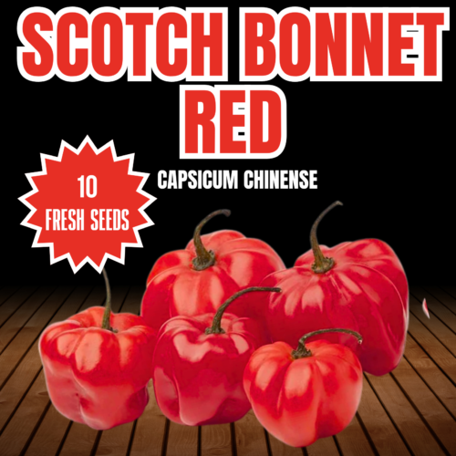 Scotch Bonnet Red Chilli Seeds