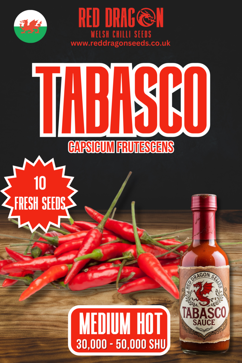 Tabasco Chilli Seeds - Tabasco Pepper Seeds - Red Dragon Seeds